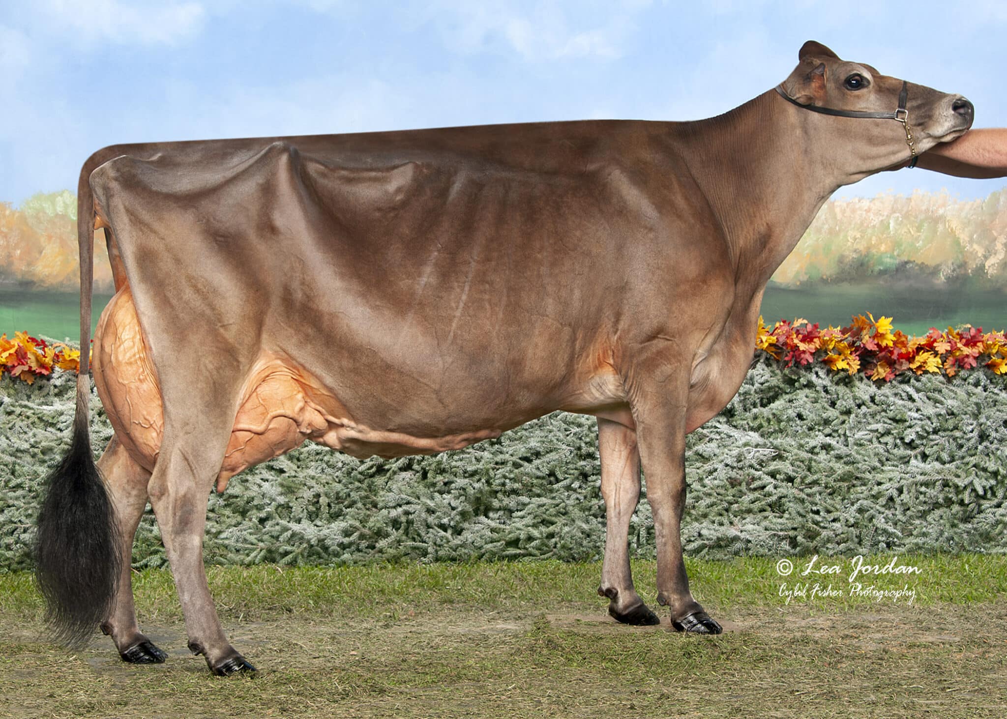 2025budjonvail_c_shaneeseet