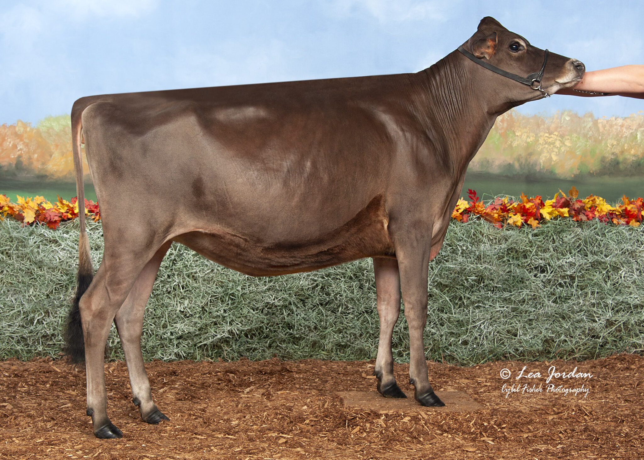 JoSan_Joel_Versace_2025