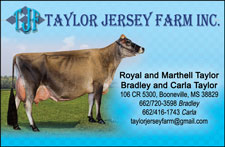 Taylor-Jersey-Farm_2_22