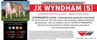 0525_JE_JJ_JXWyndham5