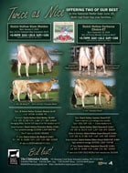 Dutch-Hollow-Farm_5_25