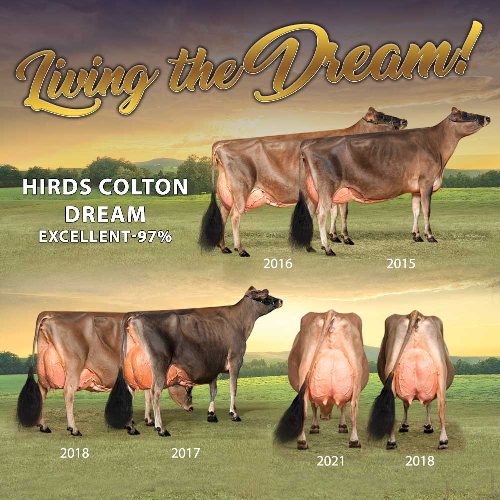 CoreBanner_Dream.jpg