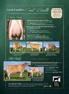Dutch-Hollow_8_26