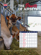 JerseyJournal_PowerOfJerseysJPI_Jan_0126_50picax68pica