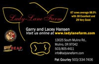 Lady-Lane