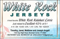 WhiteRock_2_22