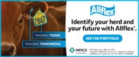 Allflex-250700008_TaggingTodayTaggingTomorrow_Thumb