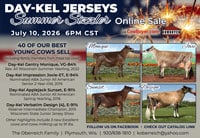 Day-Kel-Jerseys_halfpage