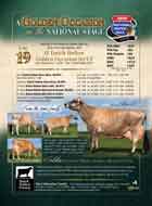 Dutch-Hollow_6_26