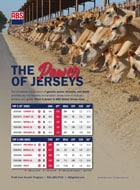 JerseyJournal_JerseyTop10s_April_9426_50picax68pica