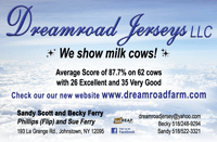 DreamroadColorAd