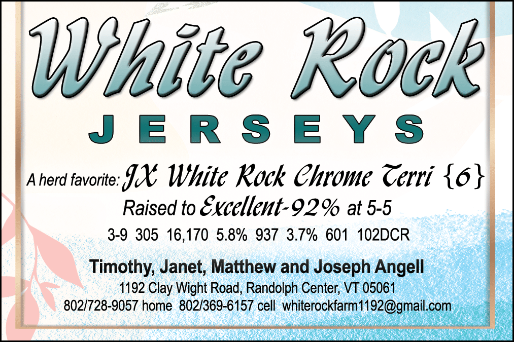 WhiteRock_2_22
