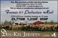 Den-KelJerseysColorAd