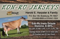 Edn-RunJerseysColorAd