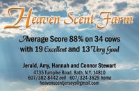 HeavenScentColorAd