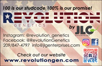 Revolution_BusCard_22