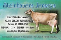 Steinhauers-Jerseys