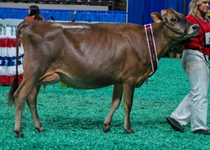 JrWinterYearMilkResAA