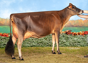 JF48430-MilkHoney-Vaden-Fern-ET
