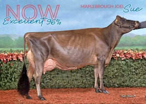 MaplebroughJoelSueWeb