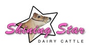 ShiningStar_logo