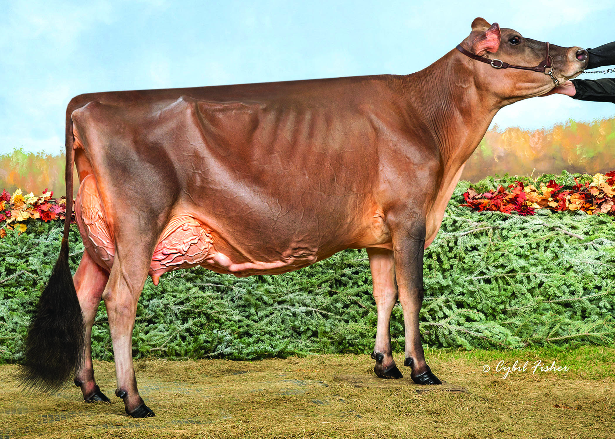 GMBV-Joel-Dixie-ET_25