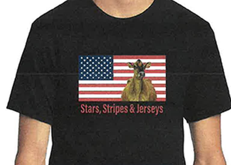 Stars, Stripes and Jerseys