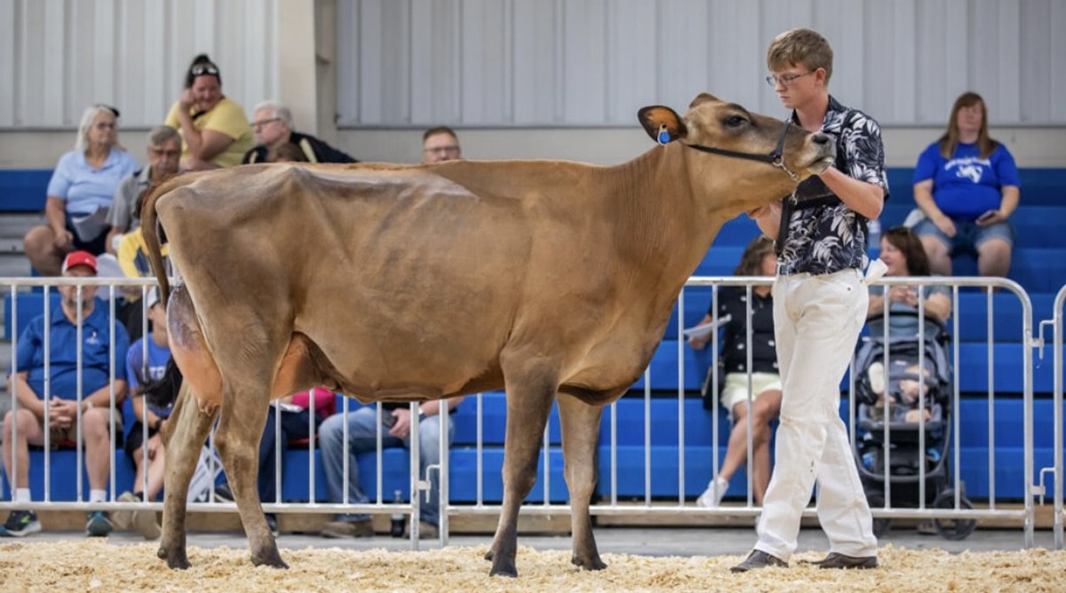Staudinger Tops National Jersey Youth Production Contest