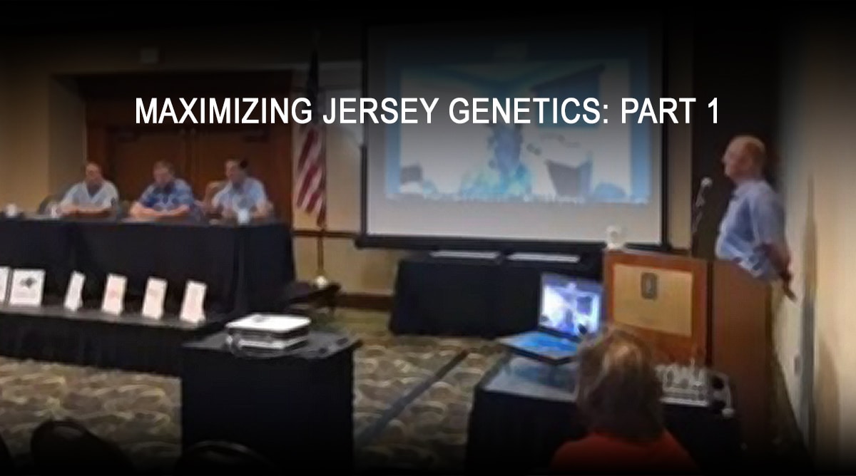 Jersey Producer Panel Discusses Sire Selection, Breed Programs