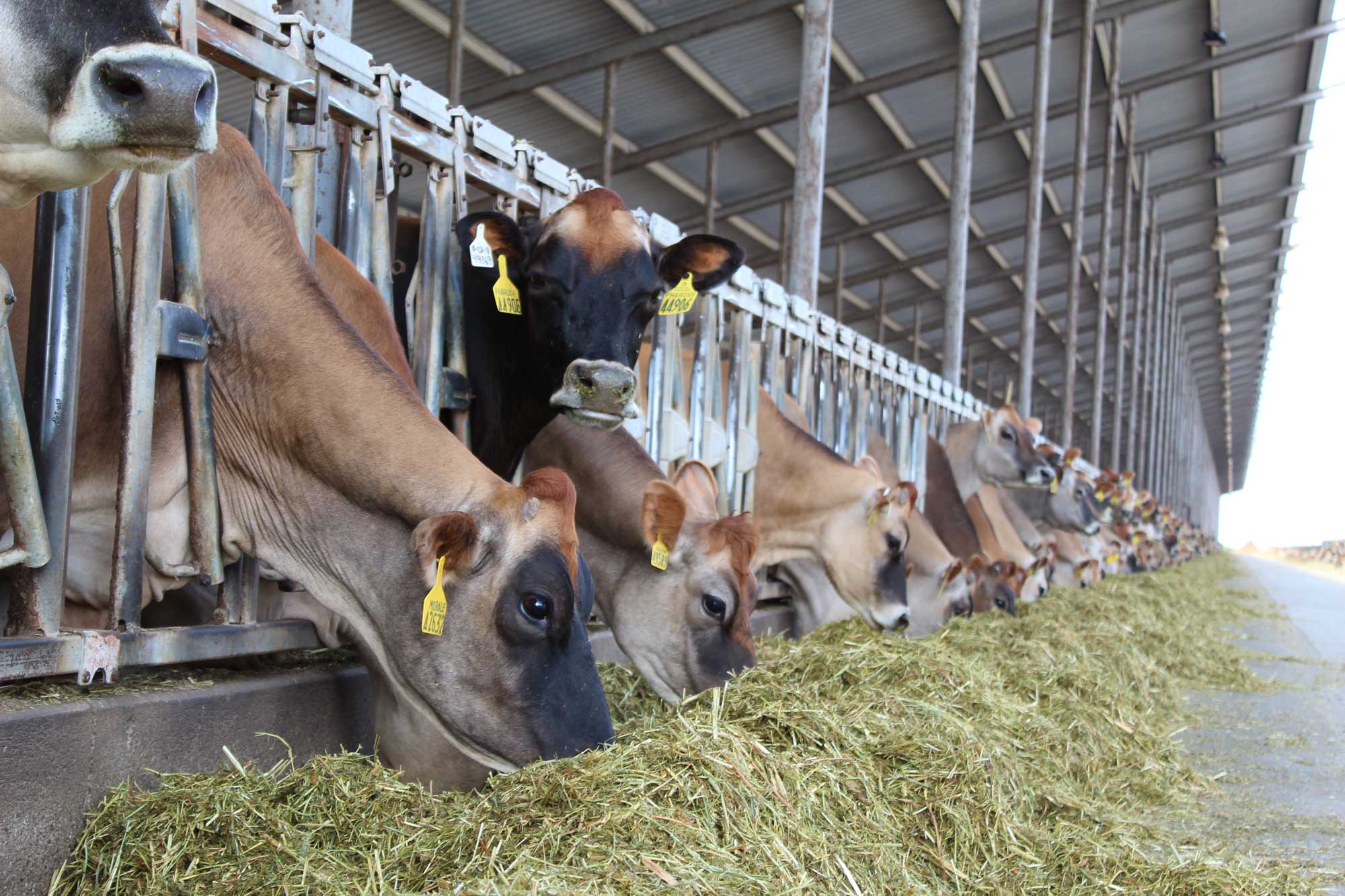 National Class Leaders