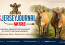USJerseyJournal Wire Introduced