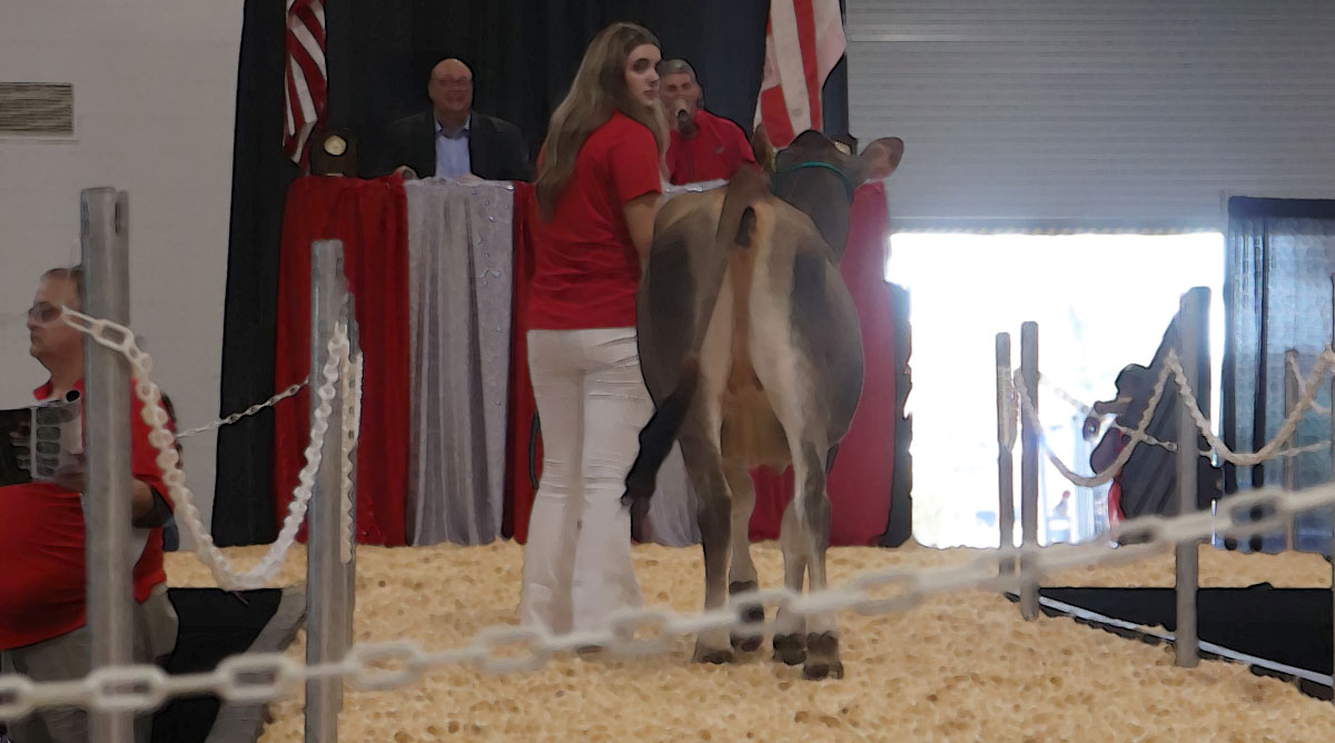 2025 Pot O’Gold Sale Posts Decade-High Average, Gross