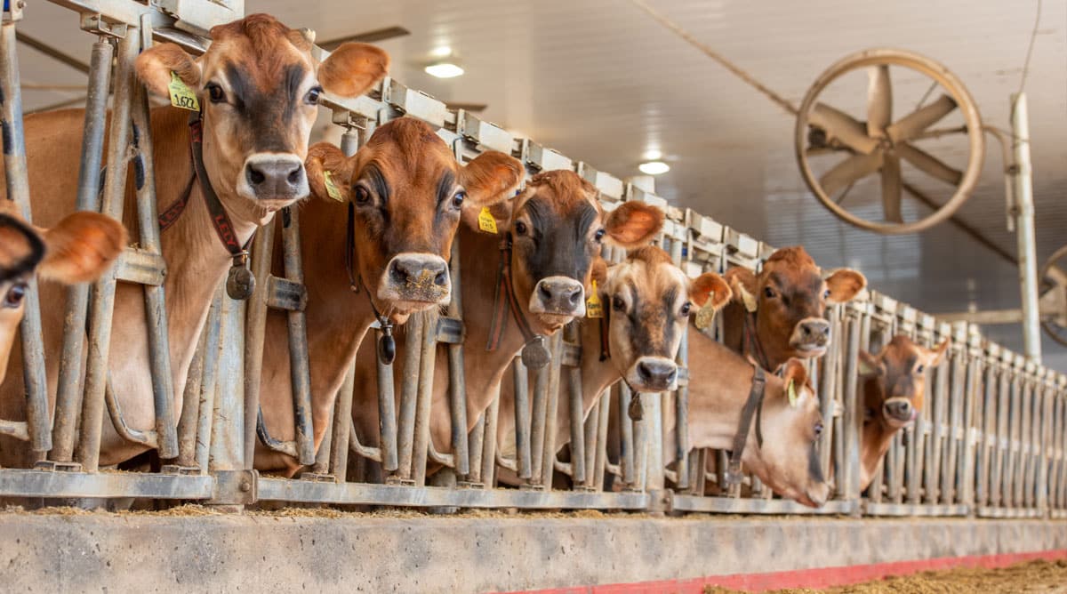 Top Jersey Producers Talk Production