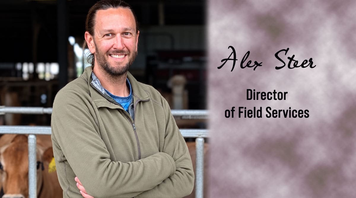 Steer Named Director of Field Services for USJersey